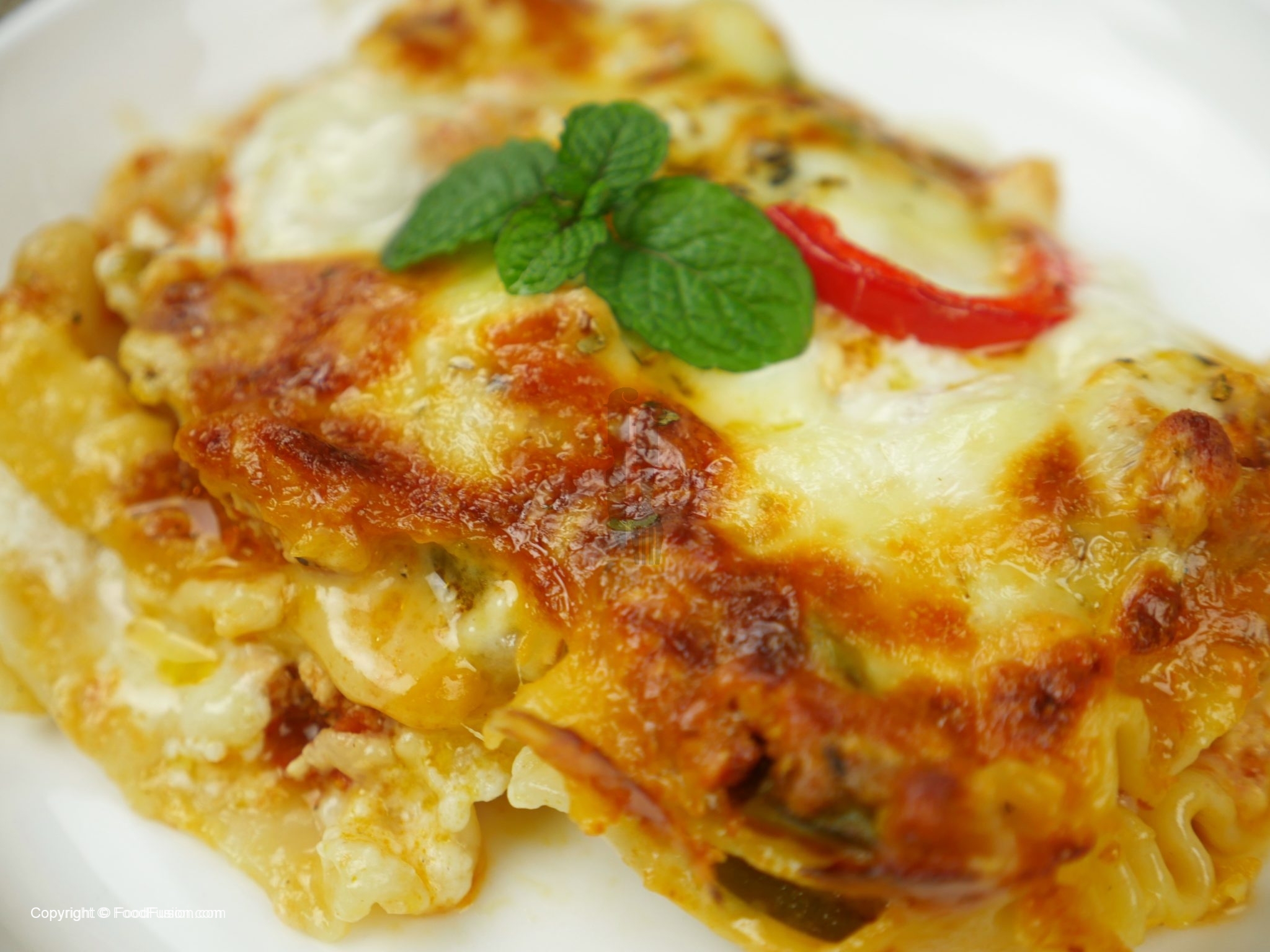 lasagna white sauce recipe food fusion