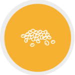 1Lentils (Daal)