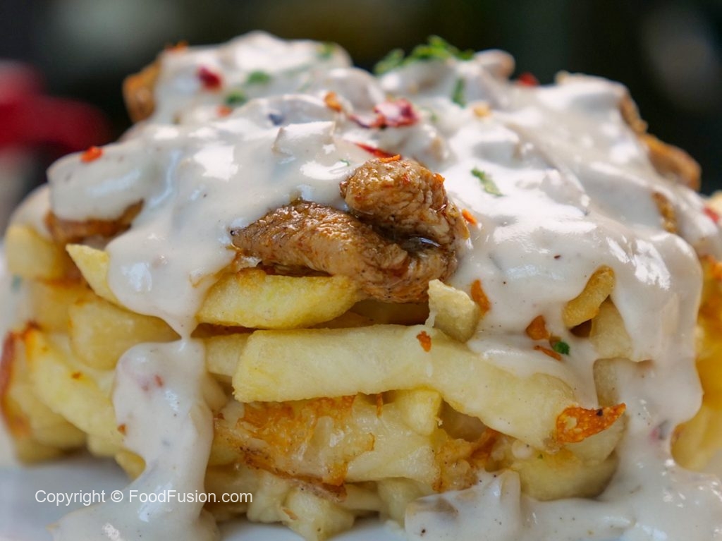 Loaded Alfredo Fries Food Fusion